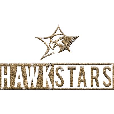 GLT55 GOLD GLITTER Thumbnail